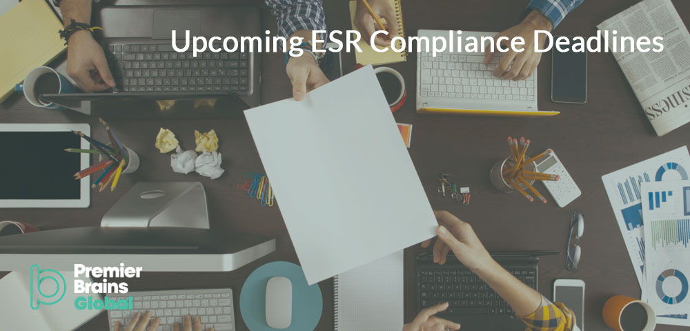 UAE – New Tax Procedures Executive Regulations
