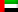 UAE flag